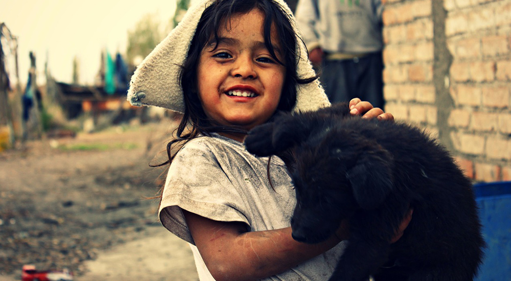 Desarrollo Sociedad 1