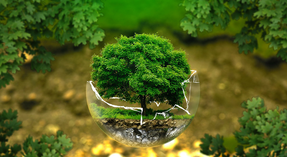 Desarrollo Sociedad 1